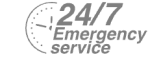 24/7 Emergency Service Pest Control in Redbridge, IG4. Call Now! 020 8166 9746