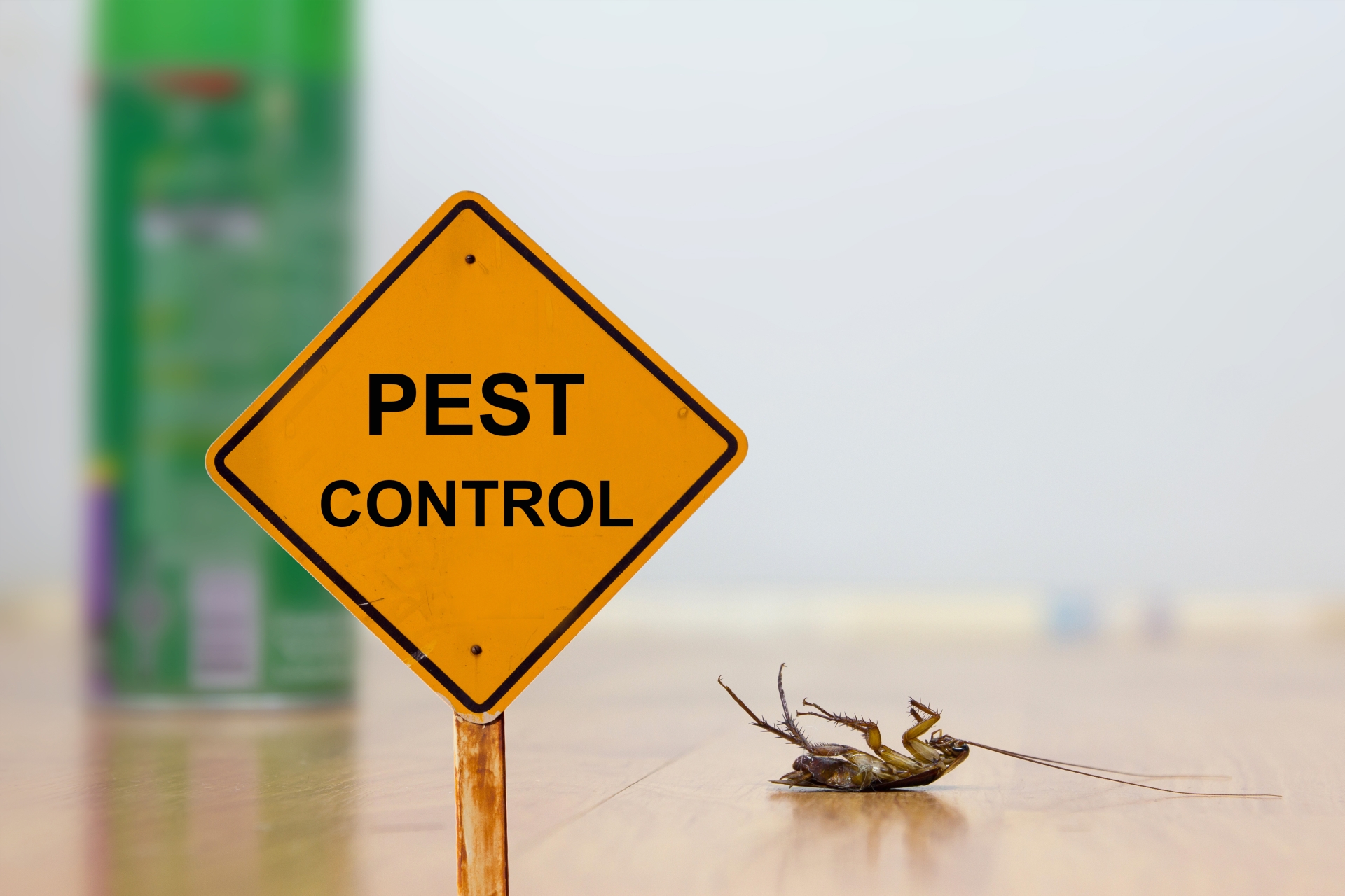 24 Hour Pest Control, Pest Control in Redbridge, IG4. Call Now 020 8166 9746